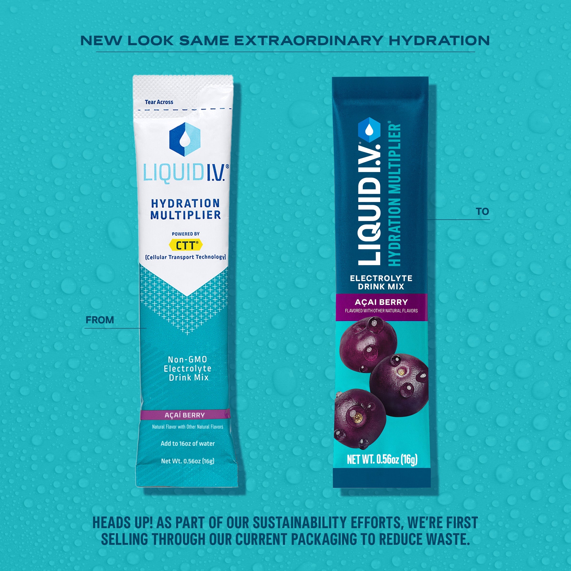 Açai Berry Hydration Multiplier - Quick Mix Hydration For Outdoor Days