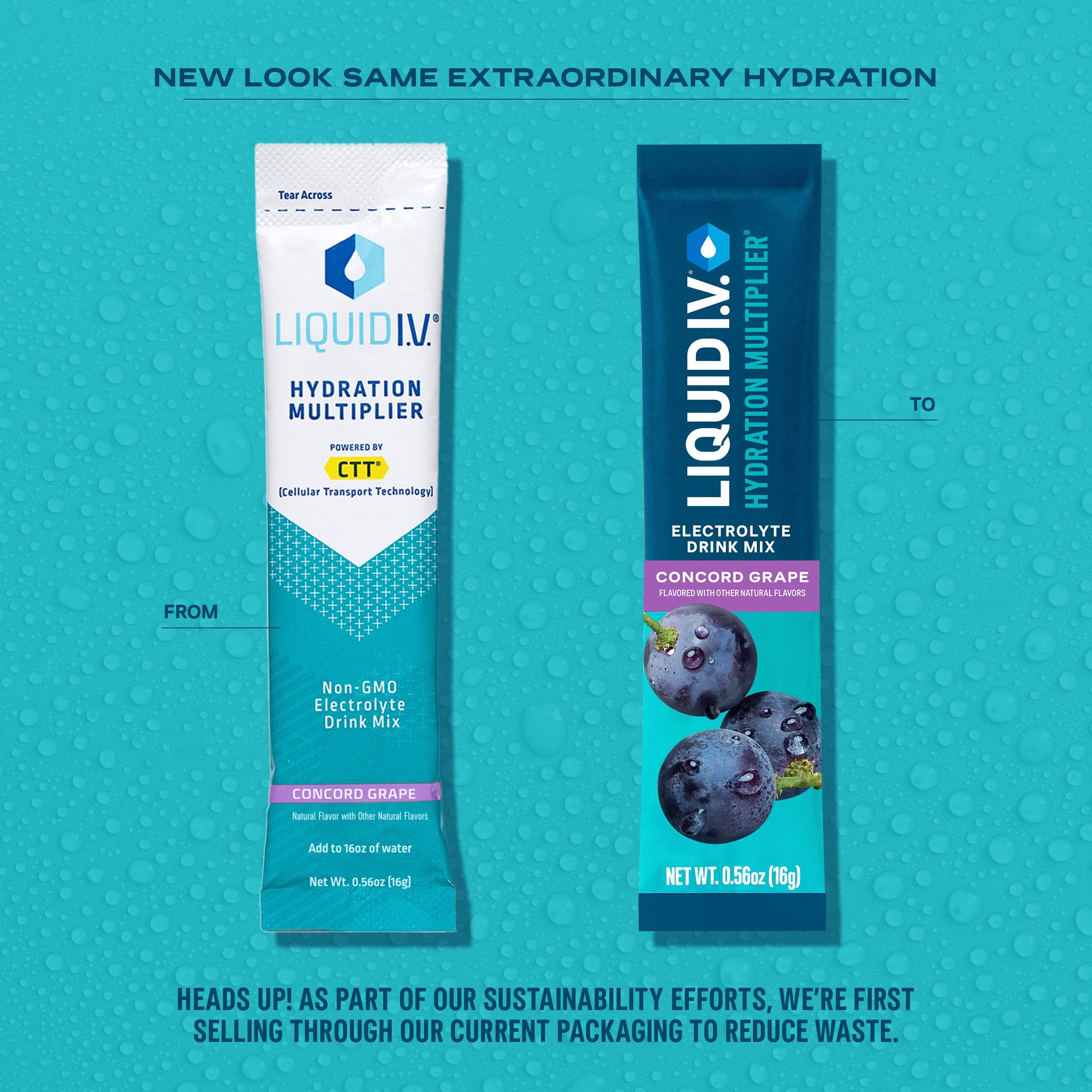 Concord Grape Hydration Multiplier - Daily Hydration Powder