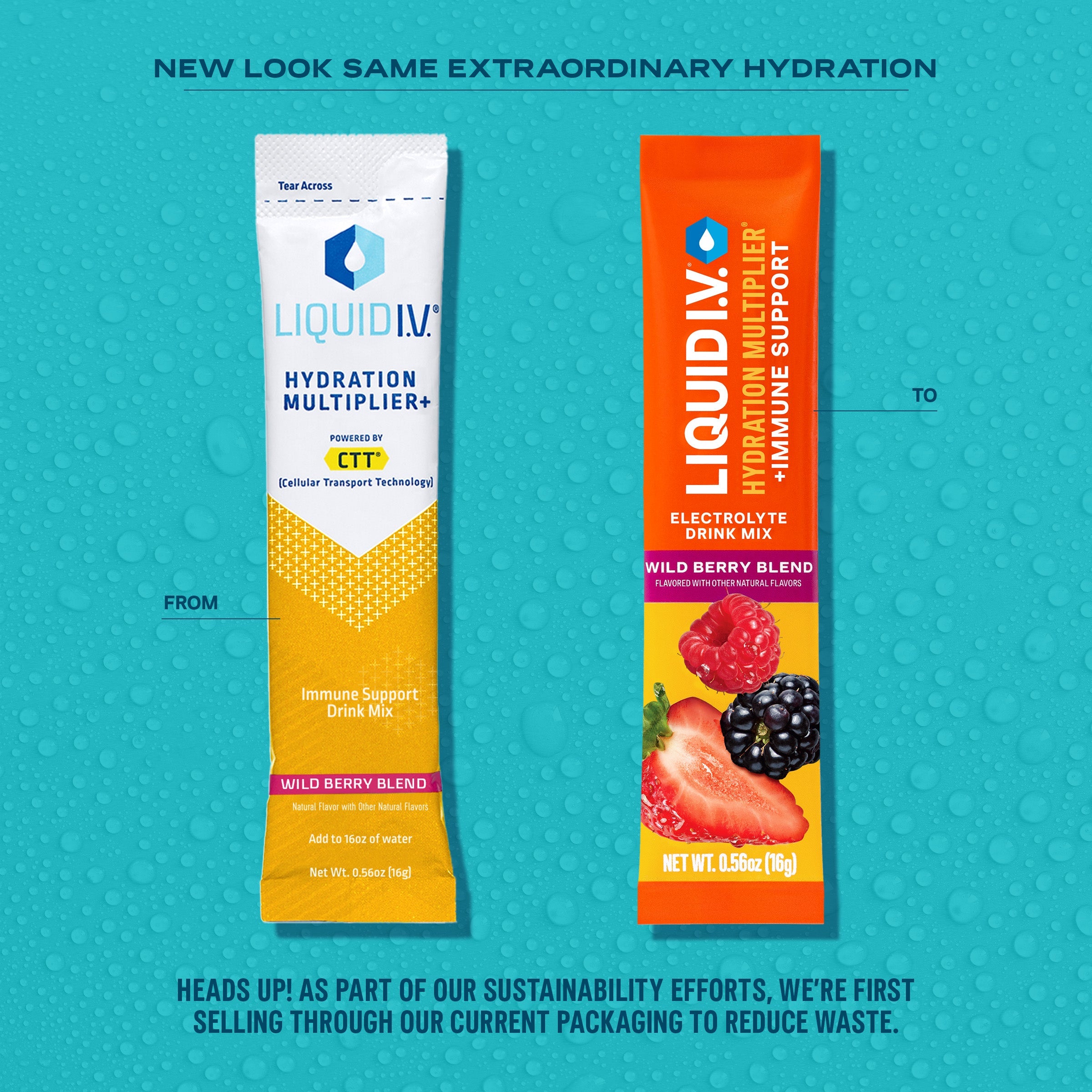 Wild Berry Hydration Multiplier®  + Immune Support - On The Go Electrolyte Packets